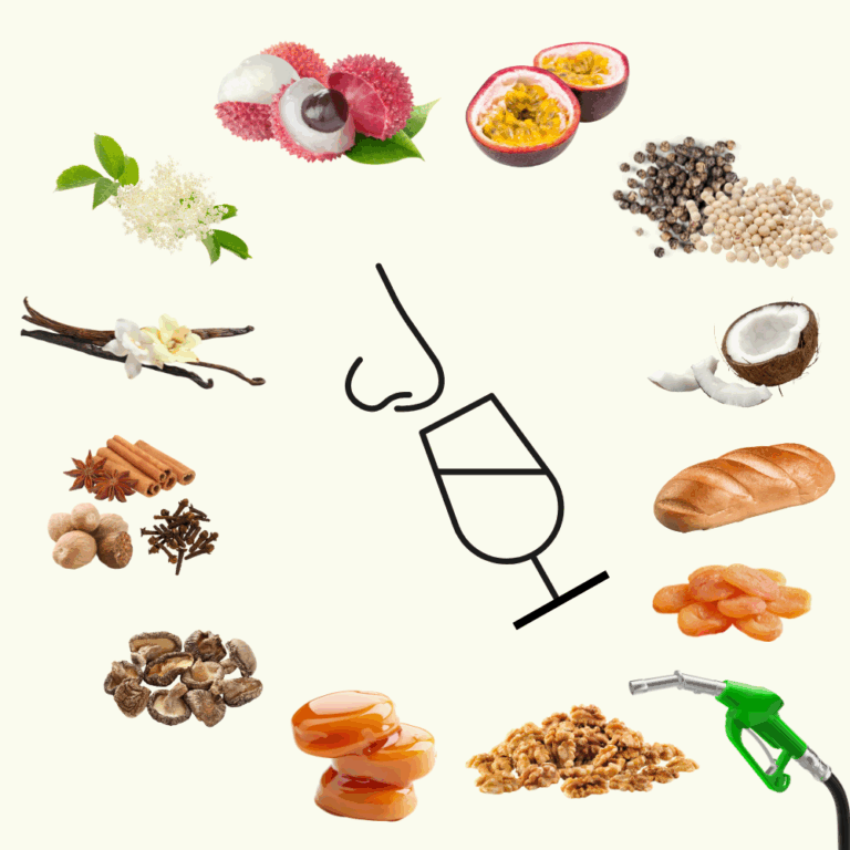 wine aromas