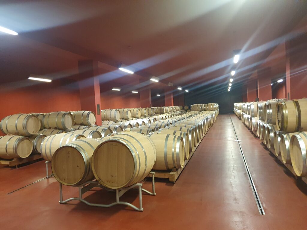 oak barrel maturation 橡木桶培養