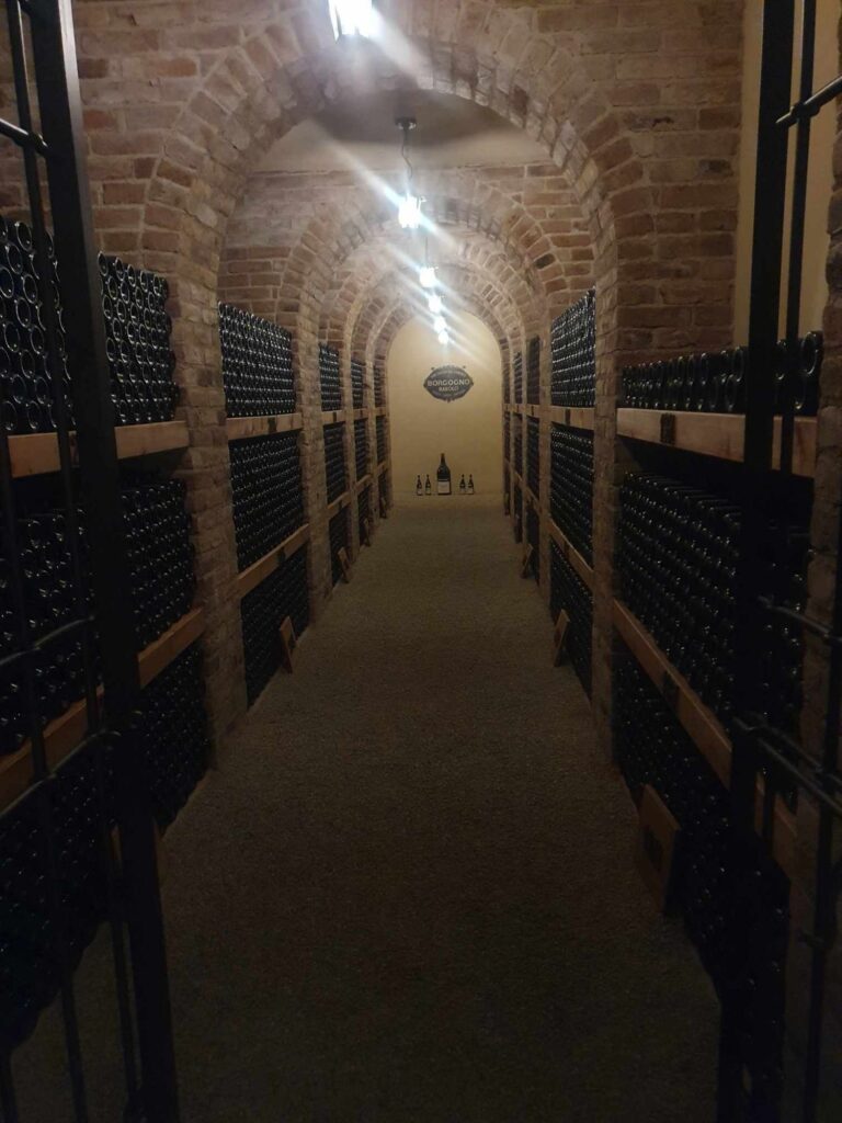 Borgogno